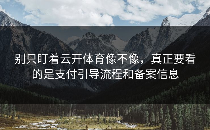 别只盯着云开体育像不像，真正要看的是支付引导流程和备案信息